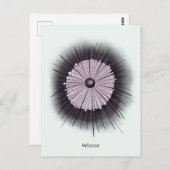 Heliozoa Mikrobiologie Geek Digitale Kunst Postkarte (Vorne/Hinten)