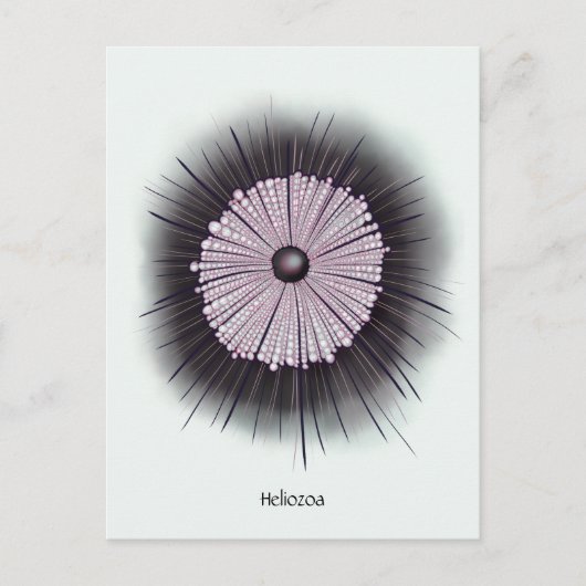 Heliozoa Mikrobiologie Geek Digitale Kunst Postkarte (Vorderseite)