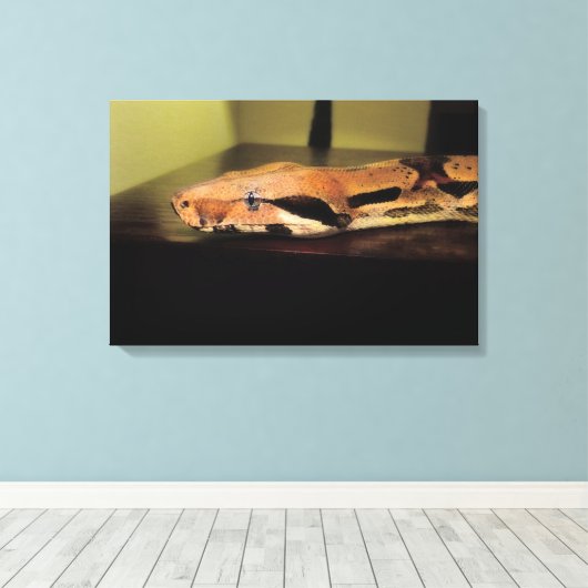 Helix, Boa-Konstriktor Leinwanddruck (Insitu (Holzboden))