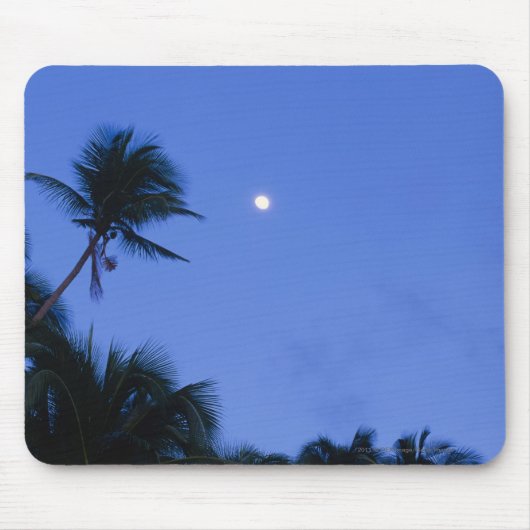 Hell beleuchteter Mond, Silhouette der Mousepad (Vorne)
