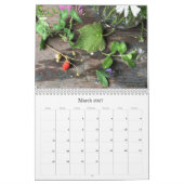 HELL! Kalender für Blumenfotografie (Mär 2027)