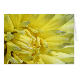 Hell, Lemon Yellow Dahlia