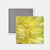 Hell, Lemon Yellow Dahlia Magnet (Vorderseite/Rückseite)