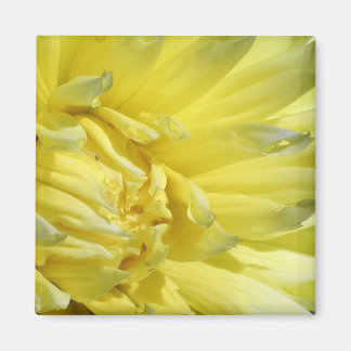 Hell, Lemon Yellow Dahlia Magnet