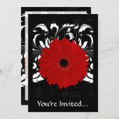 Hell Red Gerbera Daisy auf Schwarz Einladung (Vorne/Hinten)