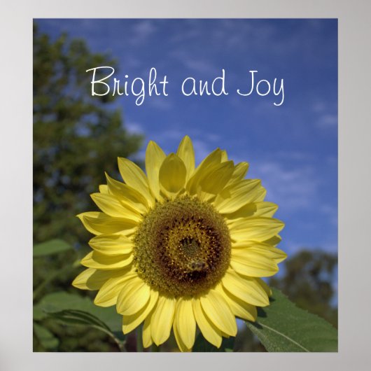 Hell und fröhlich perfekte Sonnenblume in blauem H Poster (Vorne)