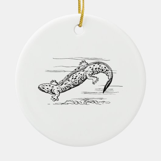 Hellbender Keramikornament (Vorne)