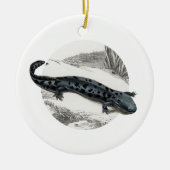 Hellbender Salamander Keramik Ornament (Vorne)