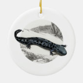 Hellbender Salamander Keramik Ornament (Hinten)