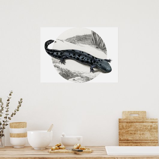 Hellbender Salamander Poster (Küche)