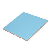 Hellblaue Farbe Fliese (Seite)