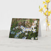 Hellblaue gelbe Blumen Naturfotografie Leere Karte (Gelbe Blume)