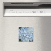 Hellblaue Hortensien Magnet (In Situ (Geschirrspüler))