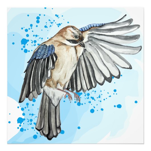 Hellblaue Jay Fotodruck (Vorne)