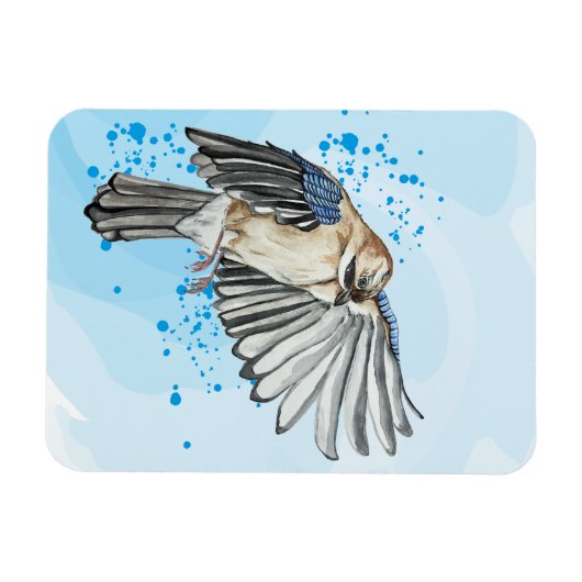 Hellblaue Jay Magnet (Horizontal)