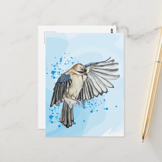 Hellblaue Jay Postkarte (Vorderseite/Rückseite Beispiel)