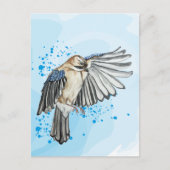 Hellblaue Jay Postkarte (Vorderseite)