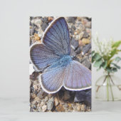 Hellblauer Schmetterling Briefpapier (Stehend Vorderseite)