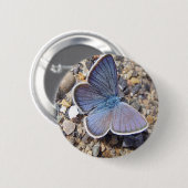 Hellblauer Schmetterling Button (Vorne & Hinten)