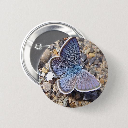 Hellblauer Schmetterling Button (Vorne & Hinten)