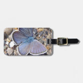 Hellblauer Schmetterling Gepäckanhänger (Vorderseite horizontal)