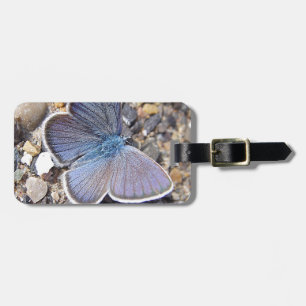 Hellblauer Schmetterling Gepäckanhänger