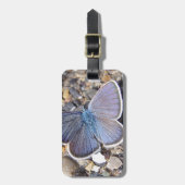 Hellblauer Schmetterling Gepäckanhänger (Vorderseite vertikal)