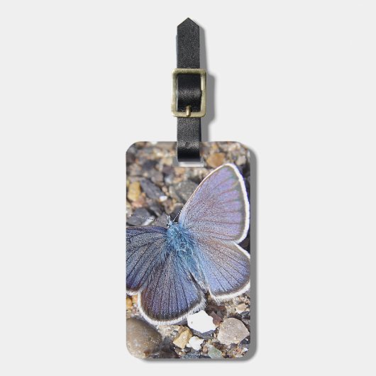 Hellblauer Schmetterling Gepäckanhänger (Vorderseite vertikal)