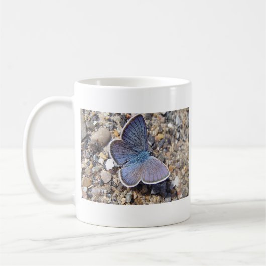 Hellblauer Schmetterling Kaffeetasse (Links)