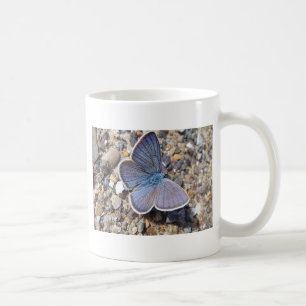Hellblauer Schmetterling Kaffeetasse