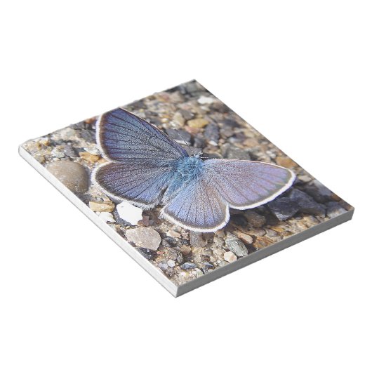 Hellblauer Schmetterling Notizblock (angewinkelt)