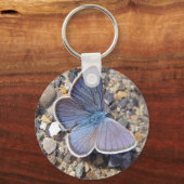 Hellblauer Schmetterling Schlüsselanhänger (Vorderseite)