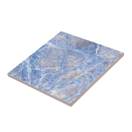 Hellblauer Veined grauer Marmor Fliese (Seite)