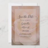 Hellblütenrosa Rosenblütenhochzeit Sichern Sie das Einladung (Vorderseite)