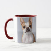 Hellbraune Boston-Terrier-HundeTasse Tasse (Links)