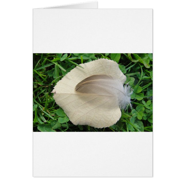 Hellbraune Feder auf hellbeigem Blatt (Vorne)