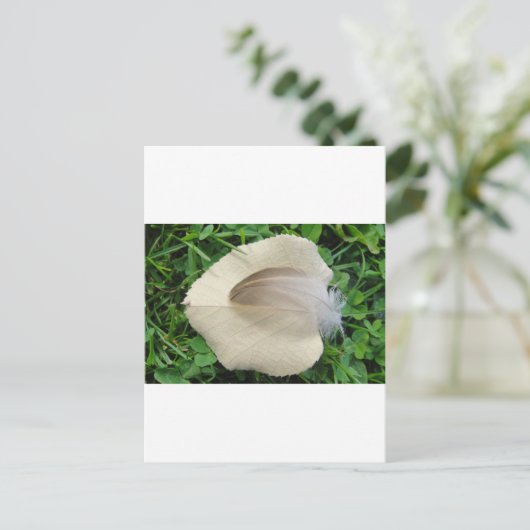 Hellbraune Feder auf hellbeigem Blatt Postkarte (Stehend Vorderseite)