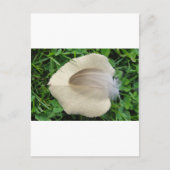 Hellbraune Feder auf hellbeigem Blatt Postkarte (Vorderseite)