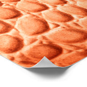 Hellbraune Krokodilledertextur Poster (Ecke)