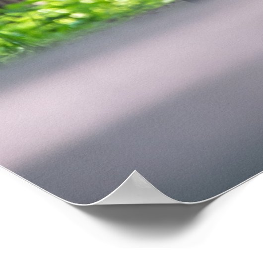 Hellcat Challenger Poster (Ecke)