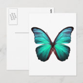 Helle Aquamarin Butterfly Postkarte (Vorne/Hinten)