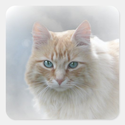 Helle Augen AH2010 Quadratischer Aufkleber (Vorderseite)