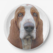 Helle Augen Basset Hound Pappteller (Vorderseite)