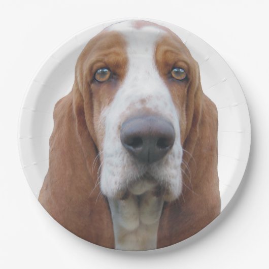 Helle Augen Basset Hound Pappteller (Vorderseite)
