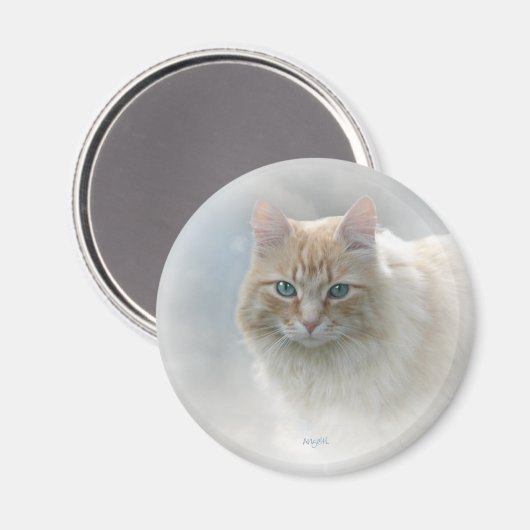 Helle Augen Katze AH2010 Magnet (Vorderseite/Rückseite)