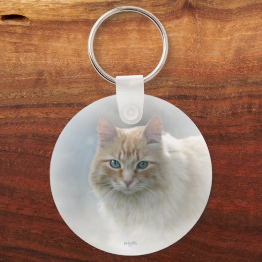 Helle Augen Katze AH2010 Schlüsselanhänger (Vorderseite)