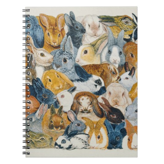 Helle Augen Notizblock (Vorderseite)