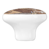 Helle Augen Owl und Dragon Keramikknauf (Seitenansicht)