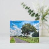 Helle Baum-Postkarte Postkarte (Stehend Vorderseite)