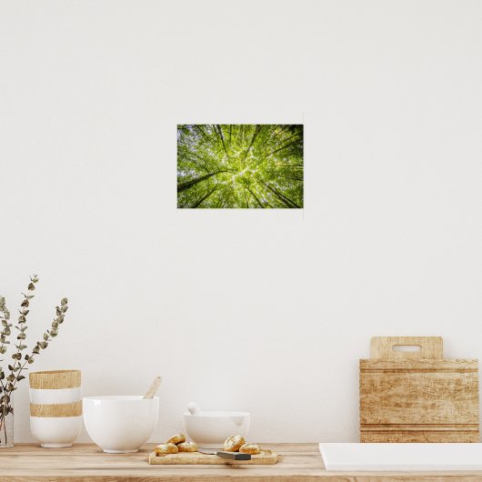 Helle Baumkronen Poster (Küche)